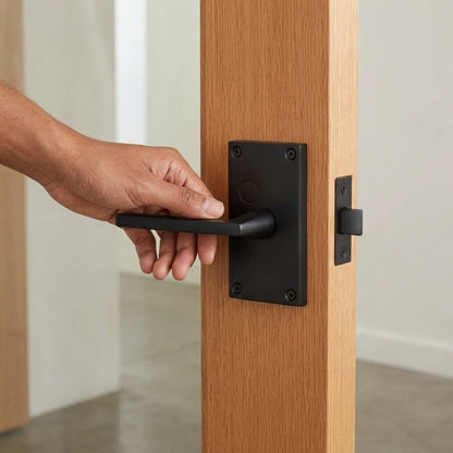 Solid Bronze Case Latch with Tapered Handle Black Gate & Door Hardware Set